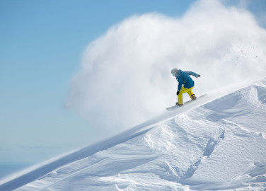 Single Day Pass (Weekend)