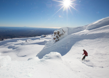 5 Day Flexi Pass